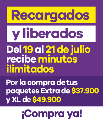 oferta-2019