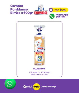 Pan Bimbo