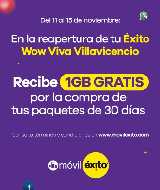 Reibe 1gb gratis por la compra de tus paquetes de 30 dias