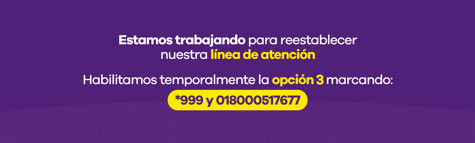 Línea de atención temporal