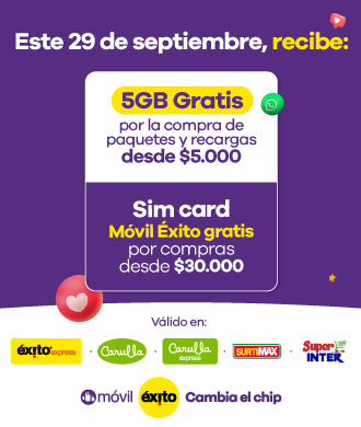 Legal Toma 29 de Septiembre