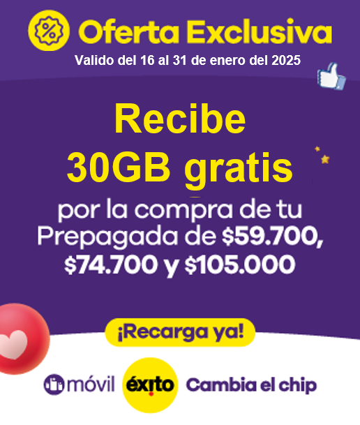 Relacional Prepagadas Enero 2025