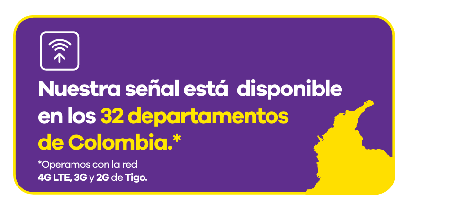 oferta 11