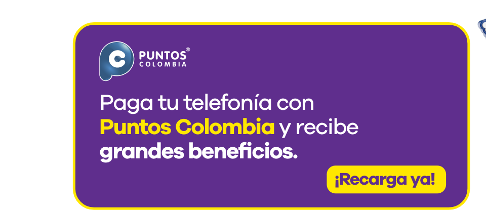 oferta 3