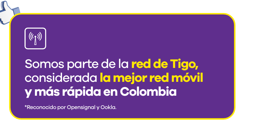 oferta 4