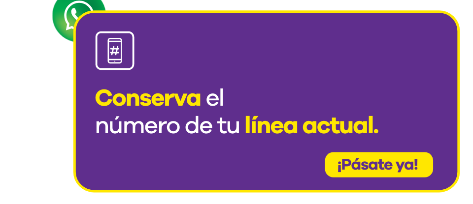 oferta 8